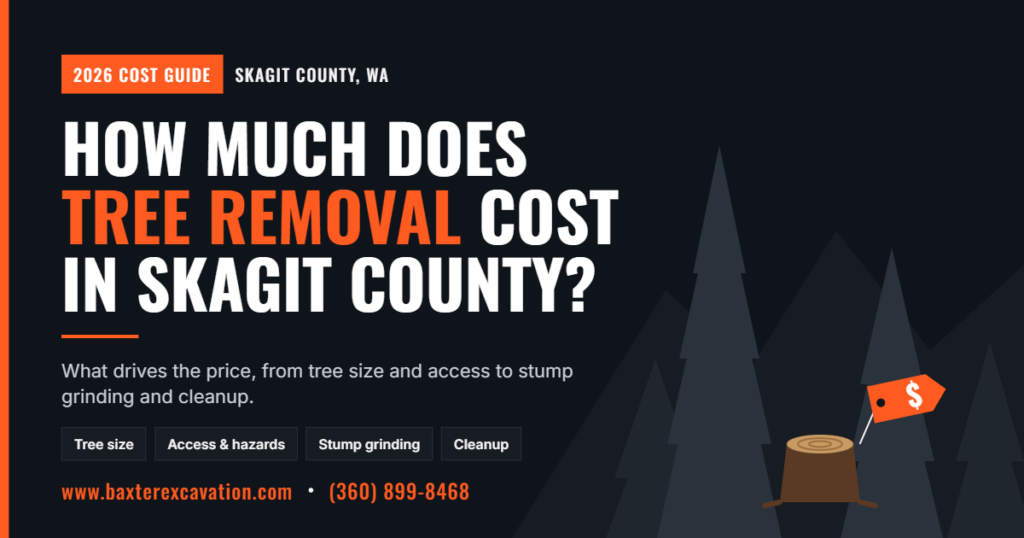 how-much-does-tree-removal-cost-in-skagit-county