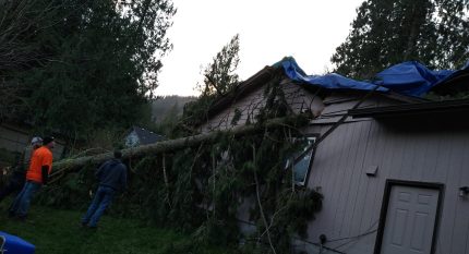 Insurance Claims